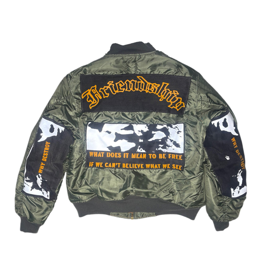 “WHY DESTROY” Bomber